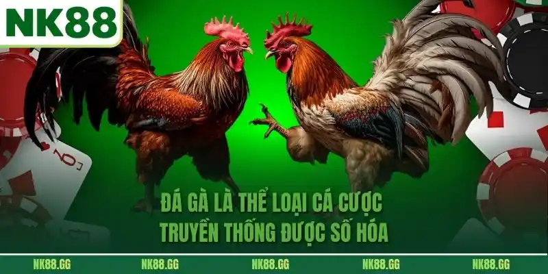 Đá gà là thể loại cá cược truyền thống được số hóa
