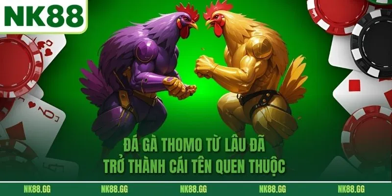 Đá Gà Thomo từ lâu đã trở thành cái tên quen thuộc 