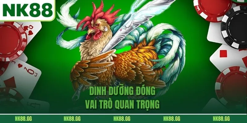 Dinh dưỡng đóng vai trò quan trọng 