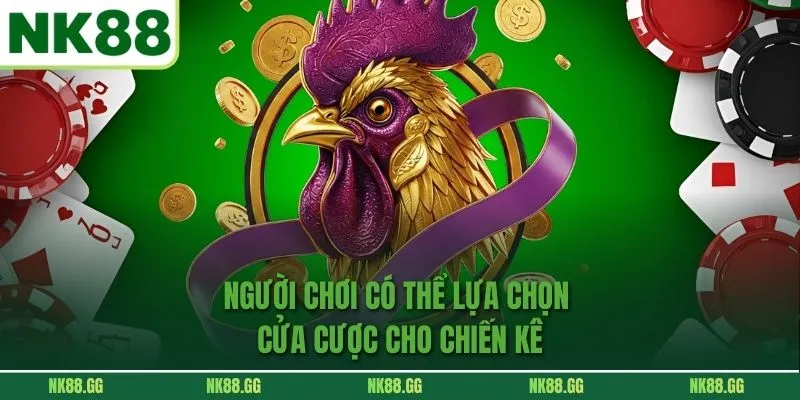 Người chơi có thể lựa chọn cửa cược cho chiến kê