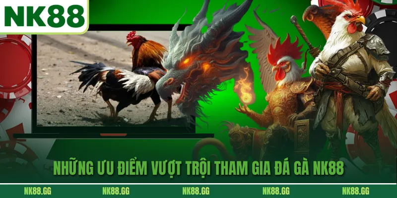 Cá cược gà chọi hiện đại